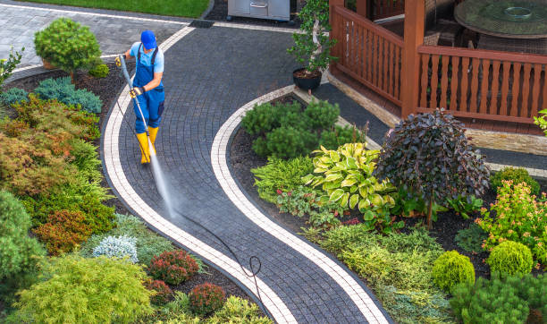Best Concrete Pressure Washing  in Halfway, MD